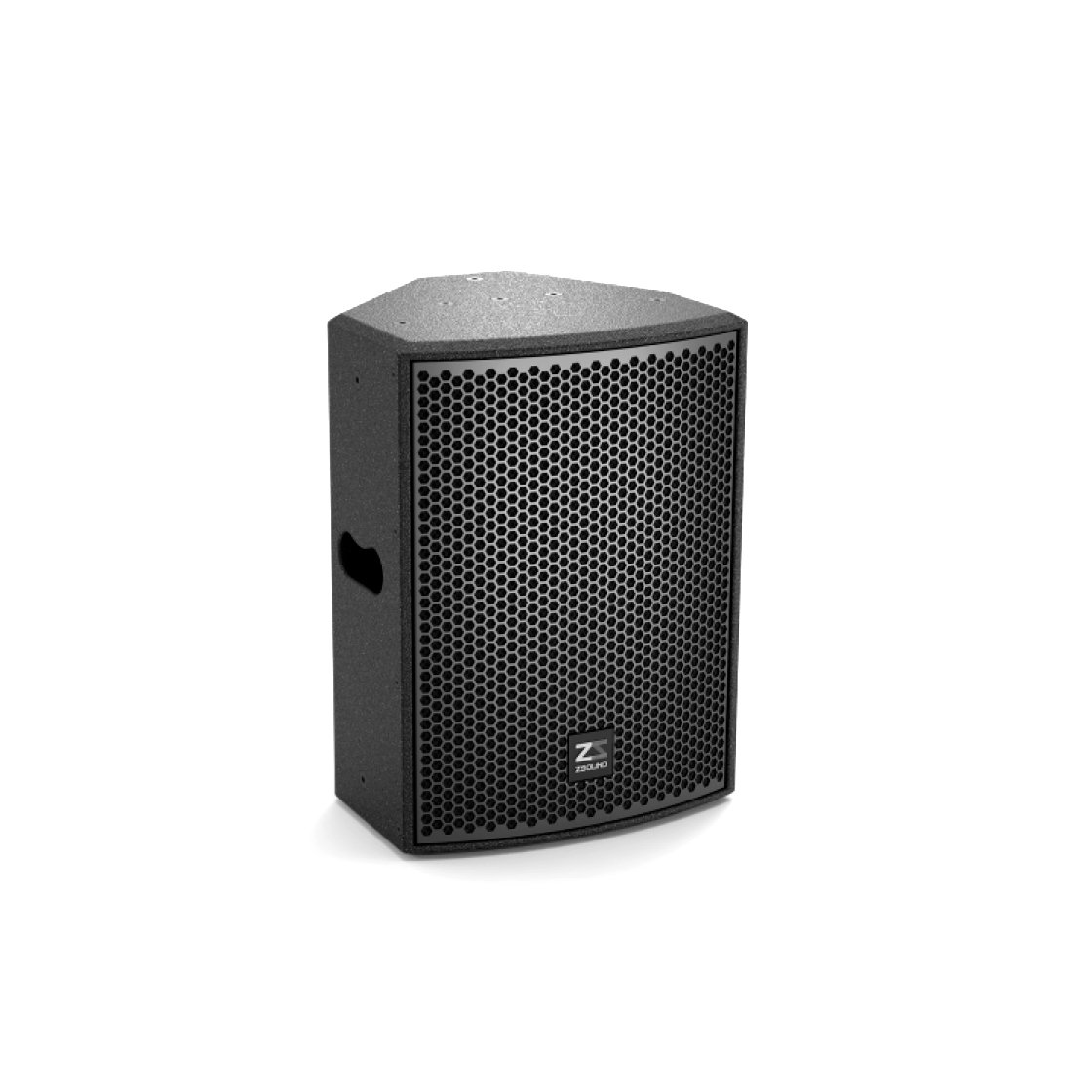 10 inch full range speaker CP10