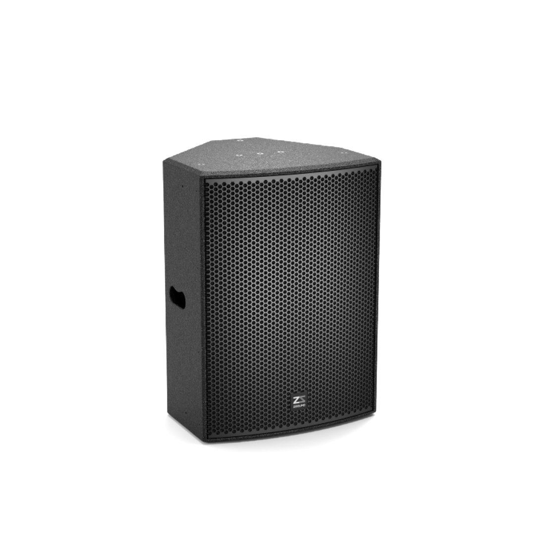 15 inch full range speaker CP15