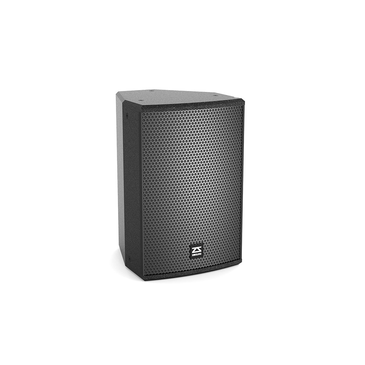 10 inch full range speaker P10