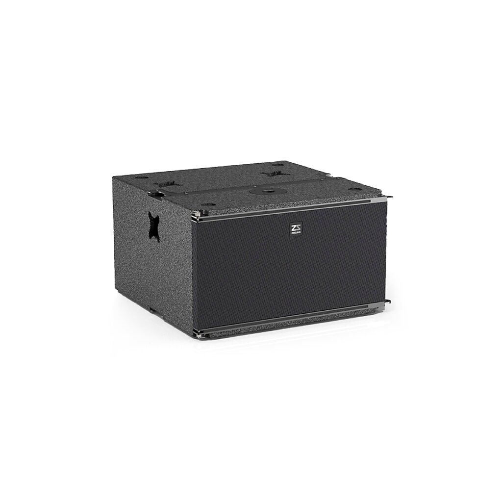 Professional Subwoofer