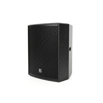 CP12 12 inch point source speaker