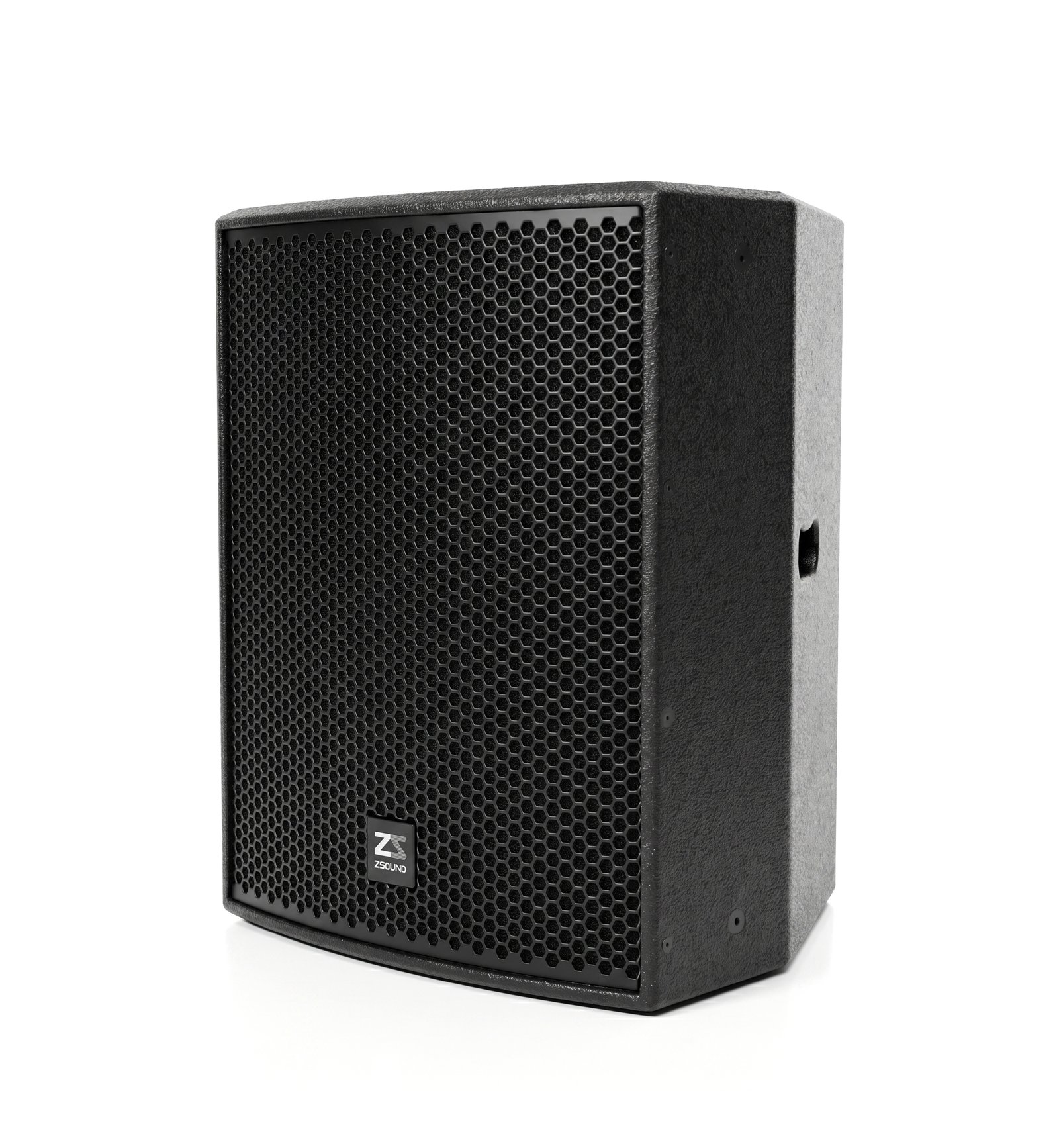 Professional 12 Inch Point Source Speaker