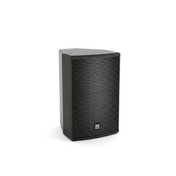 P10 10 inch point source speaker