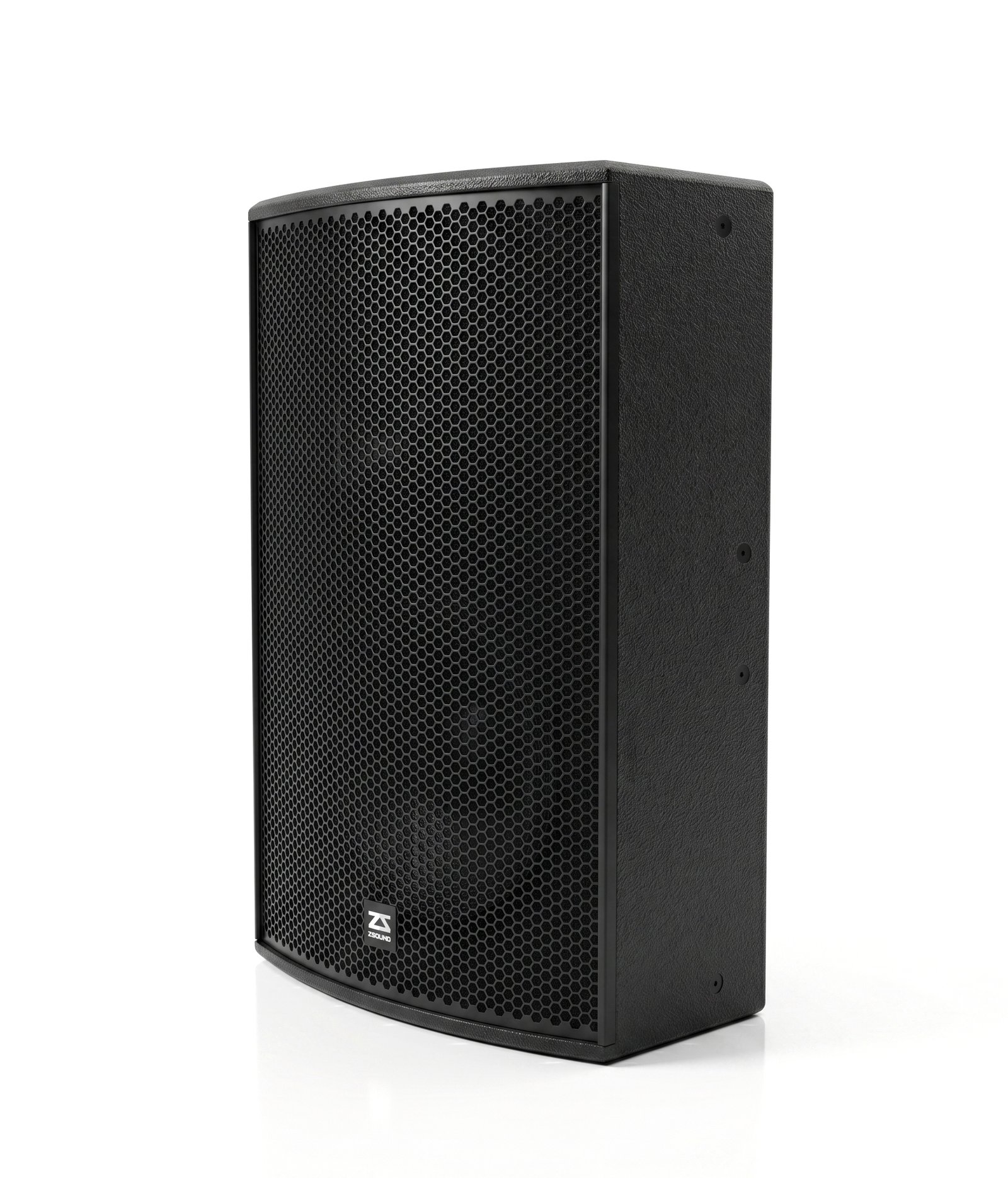 P15 15 inch point source speaker