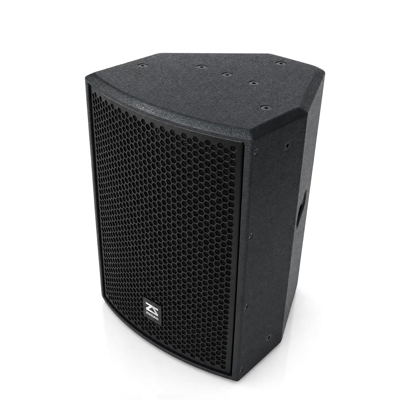 High-Performance 10-Inch Point Source Speaker