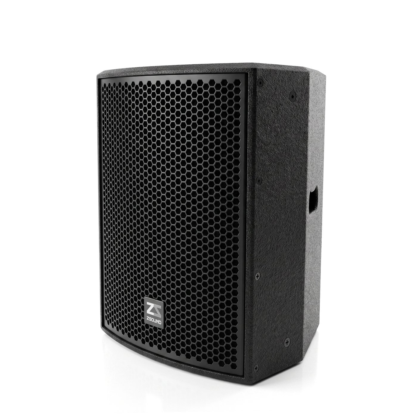CP 10 10 inch point source speaker