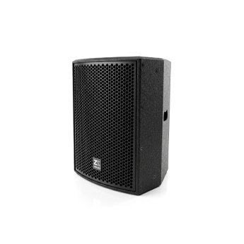 CP 10 10 inch point source speaker