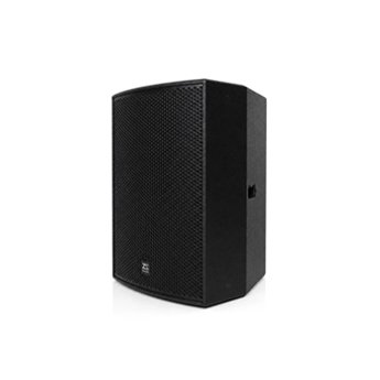 CP15 15 inch point source speaker